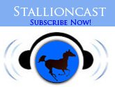 StallionCast